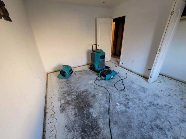 Best Water damage mitigation services  in Greens Farms, CT