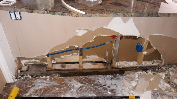 Best Professional water damage repair  in Greens Farms, CT
