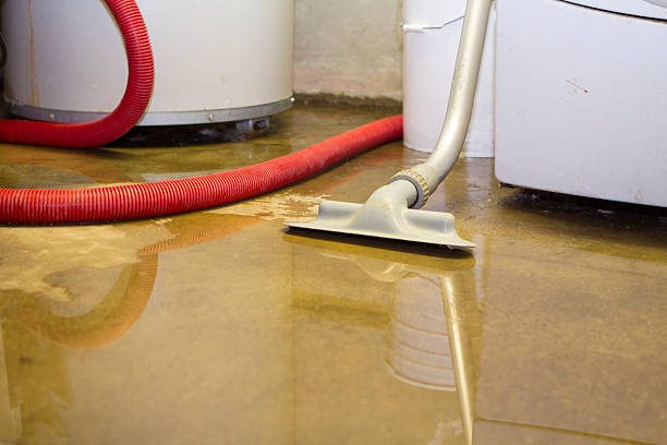 Best Basement water damage restoration  in Greens Farms, CT